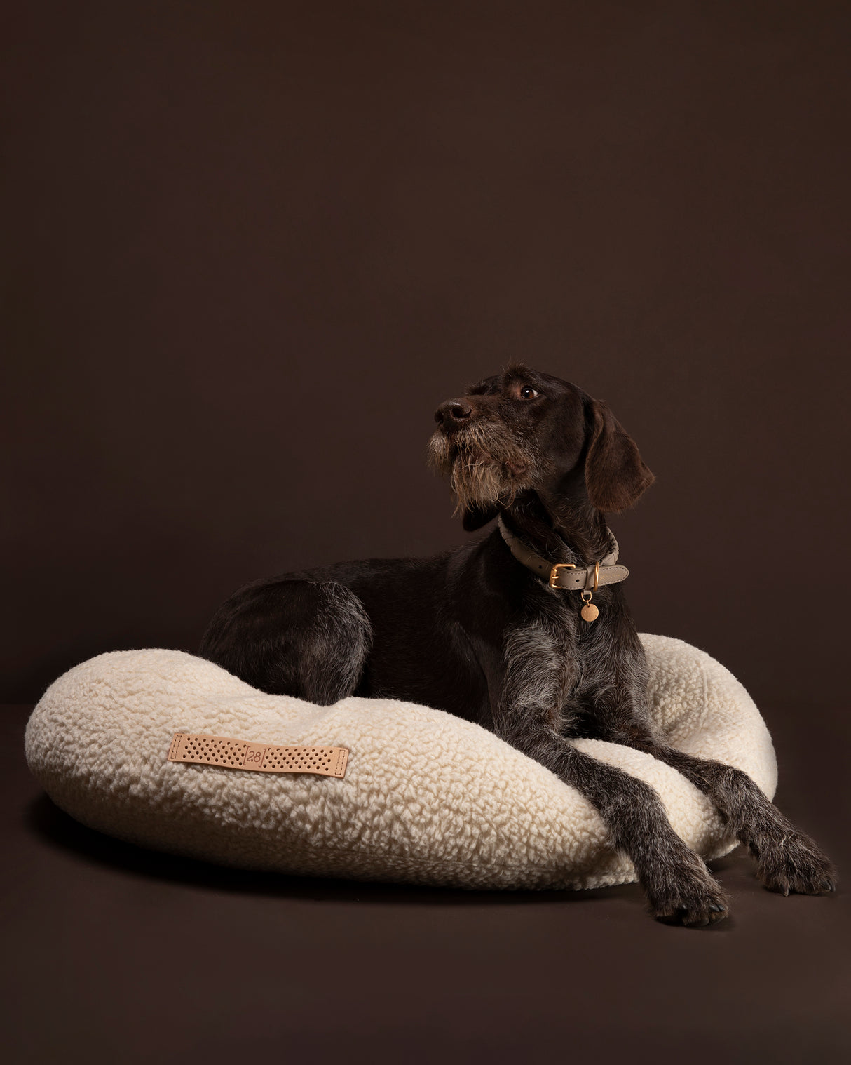 FULVIO BOUCLÉ WOOL BED | מיטת פוף לכלב