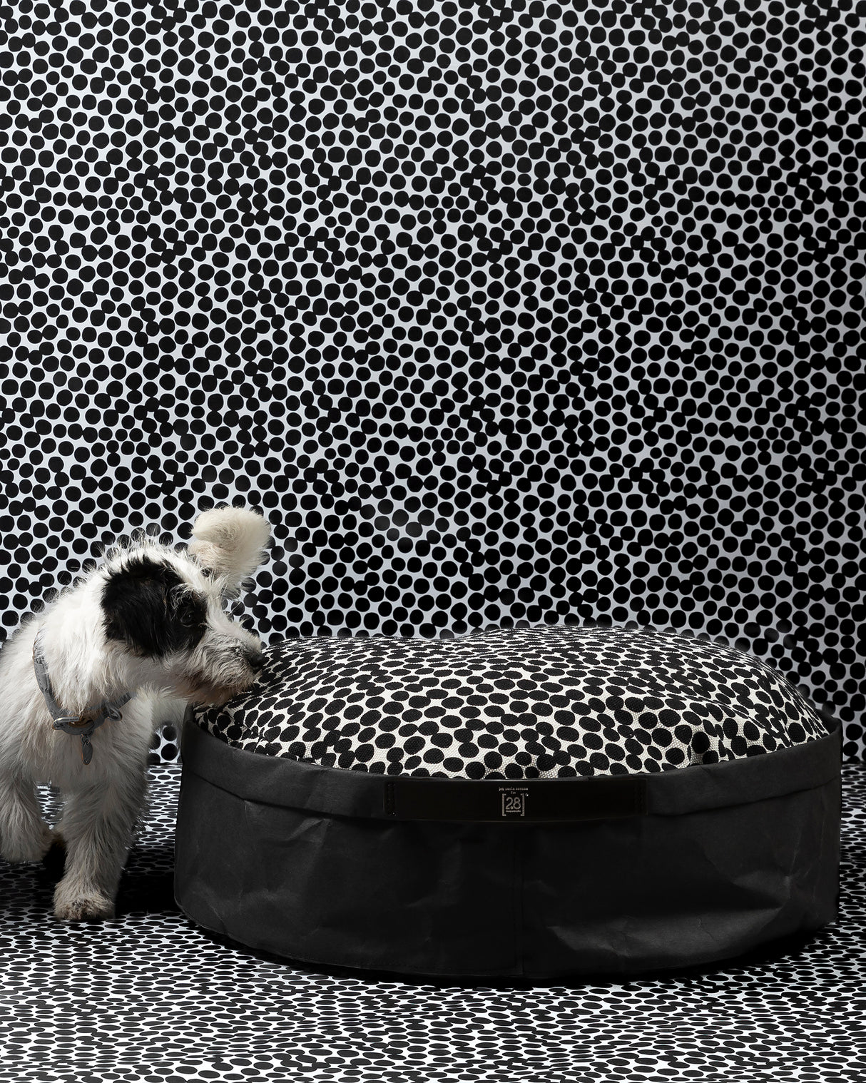 IRVING DOTTO COLLECTION DOG & CAT BED | מיטה לכלבים ולחתולים