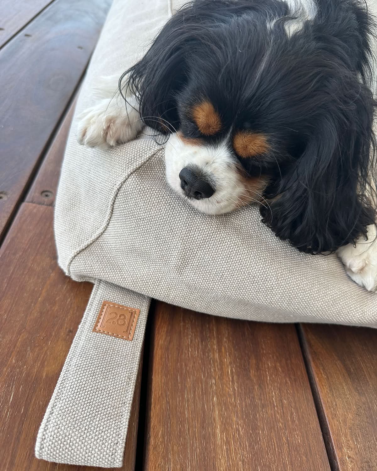 YOUSUF ORGANIC COTTON DOG BED | מיטה לכלב