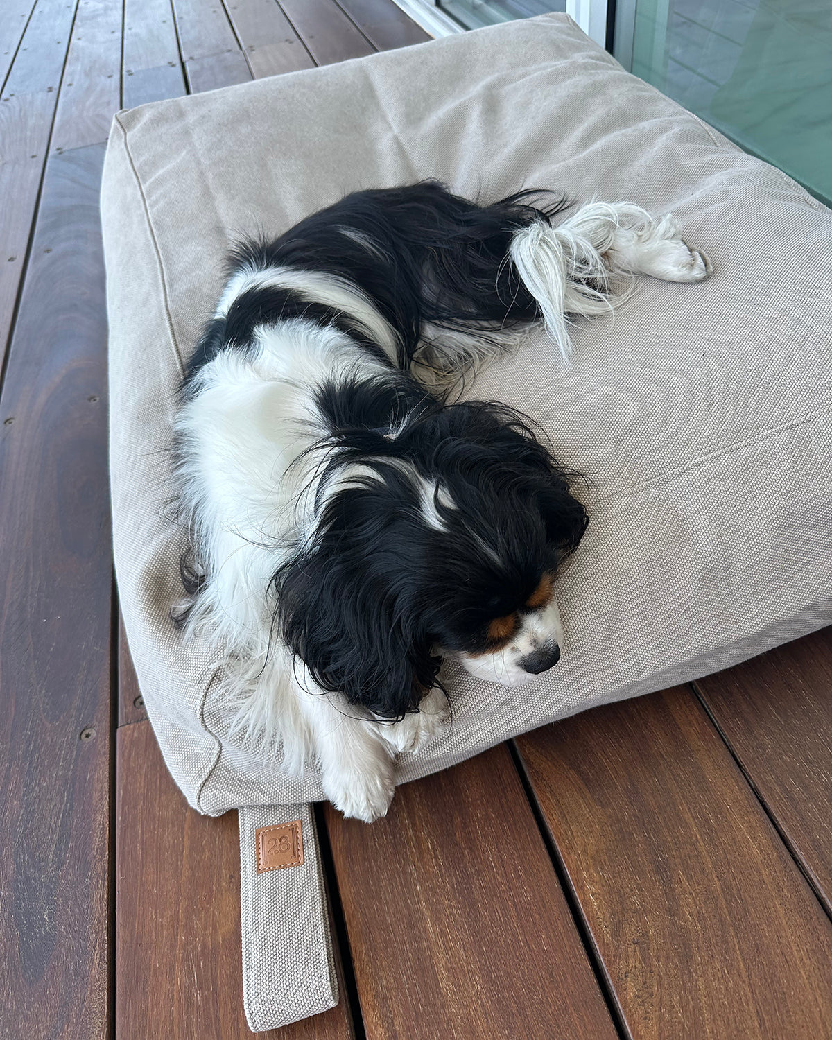 YOUSUF ORGANIC COTTON DOG BED | מיטה לכלב