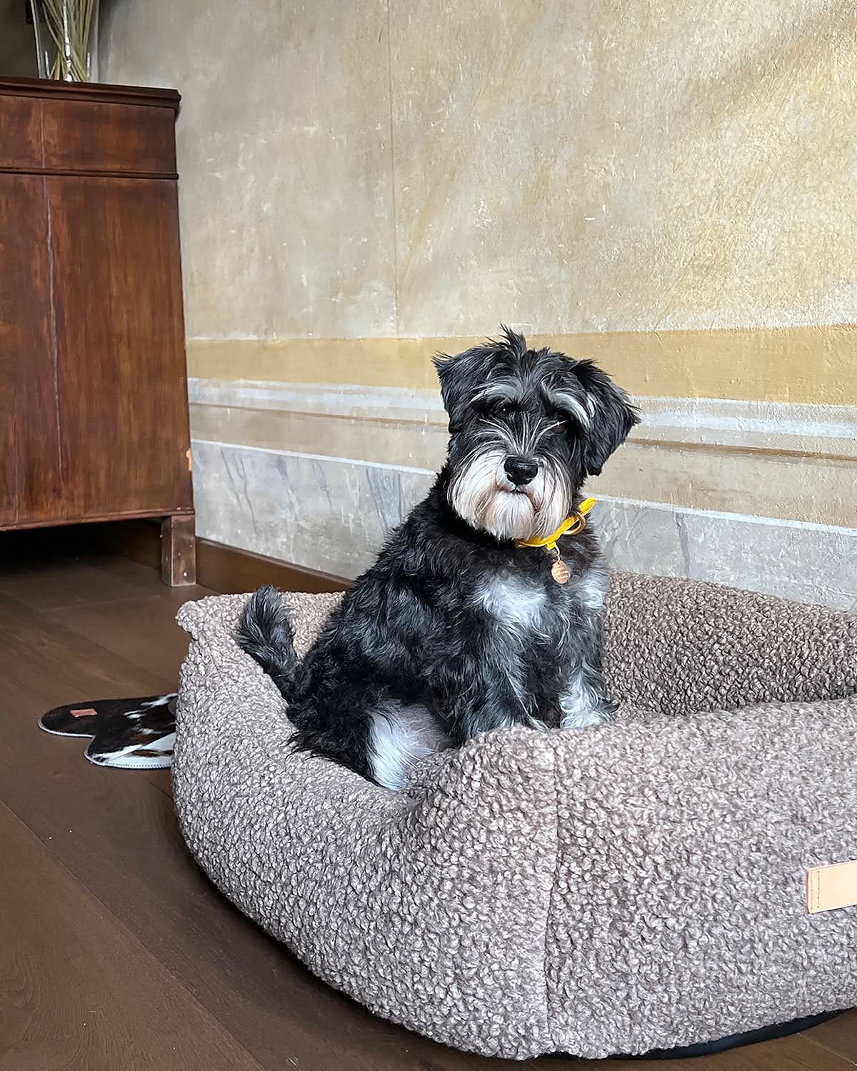 HENRI BOUCLÉ WOOL DOG BED | מיטה לכלב