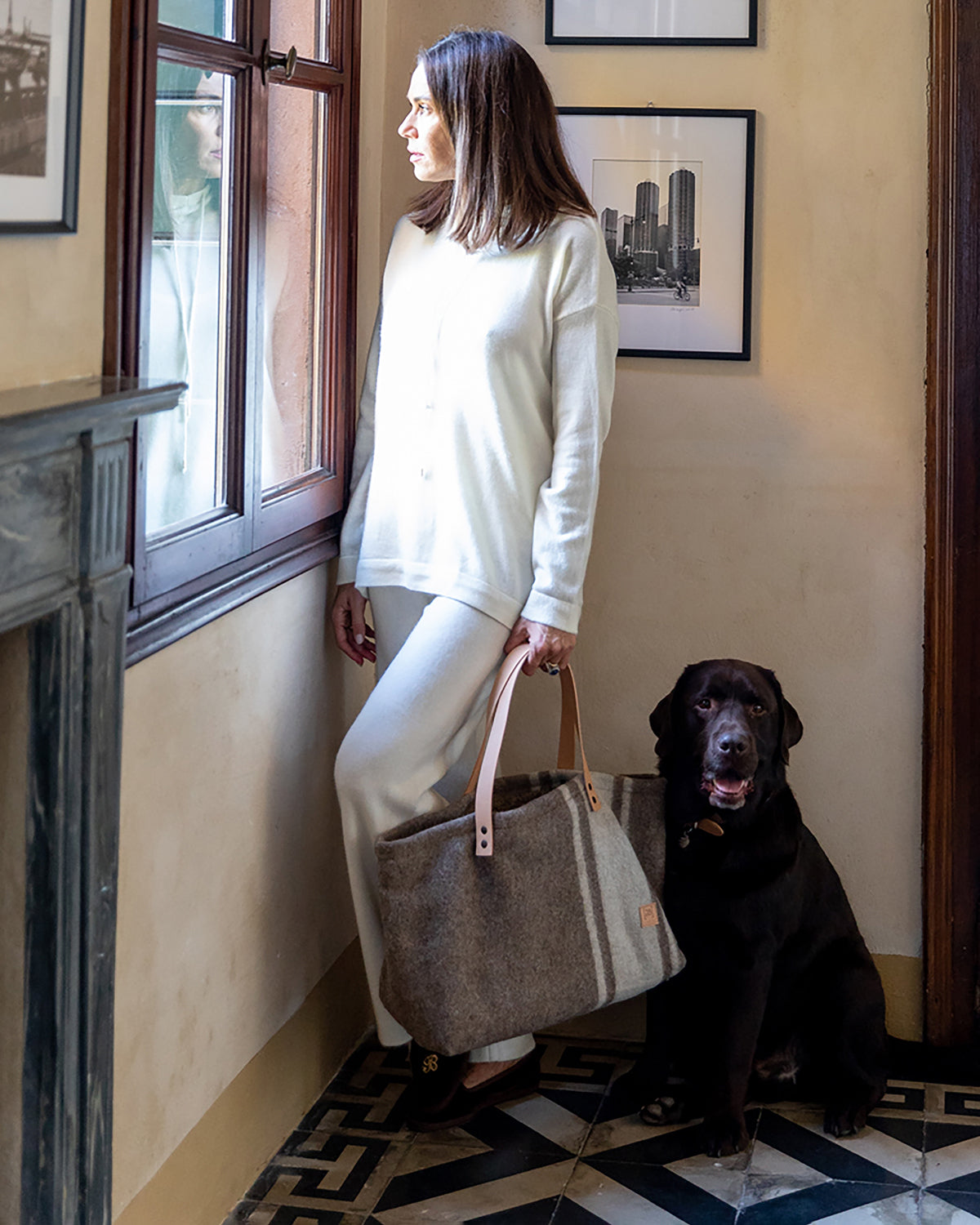 תיק נשיאה לכלב