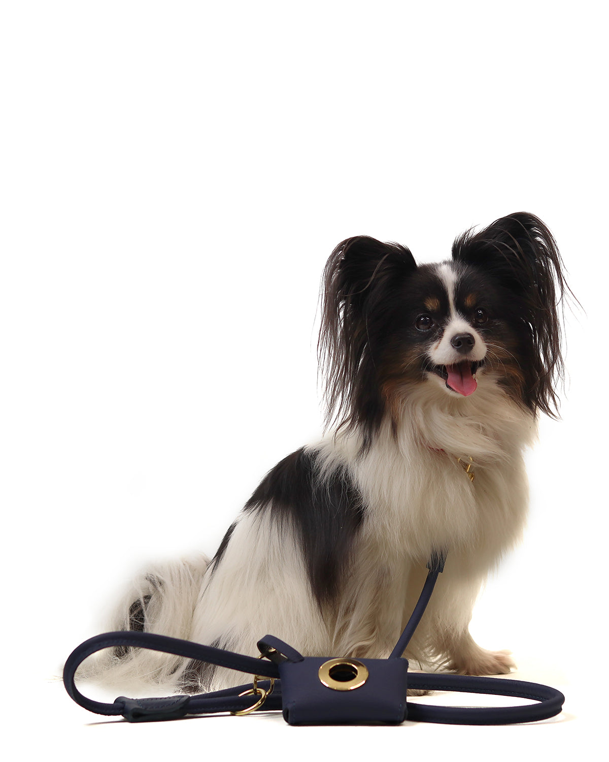 PooSh Poo Bags Holder | נרתיק לשקיות איסוף לכלב