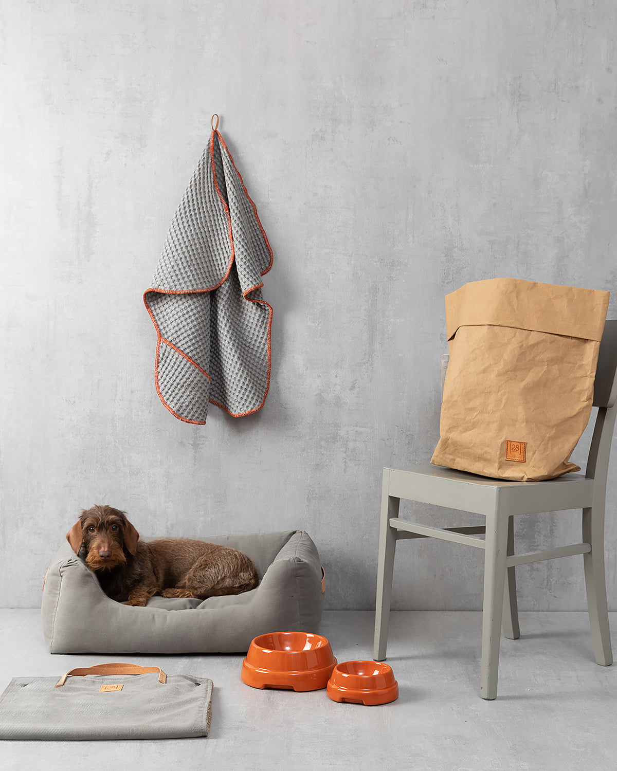 HENRI COTTON CANVAS BED | מיטה לכלב