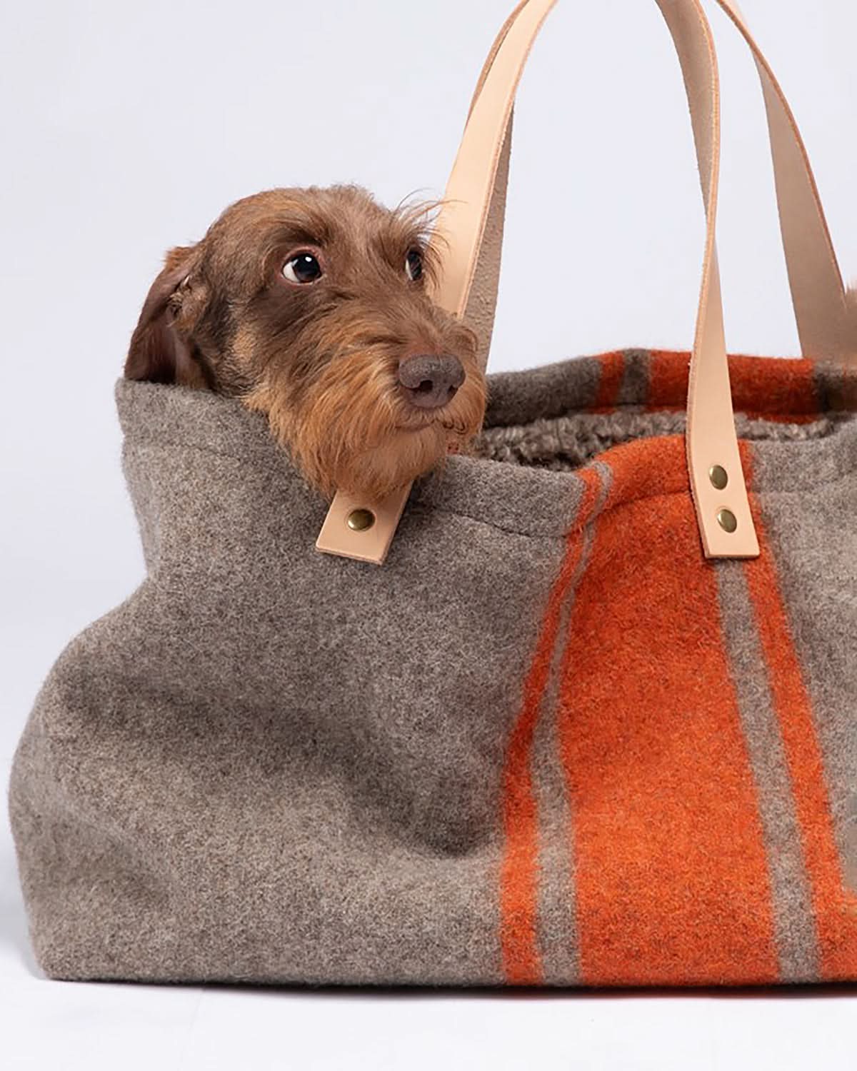 תיק נשיאה לכלב