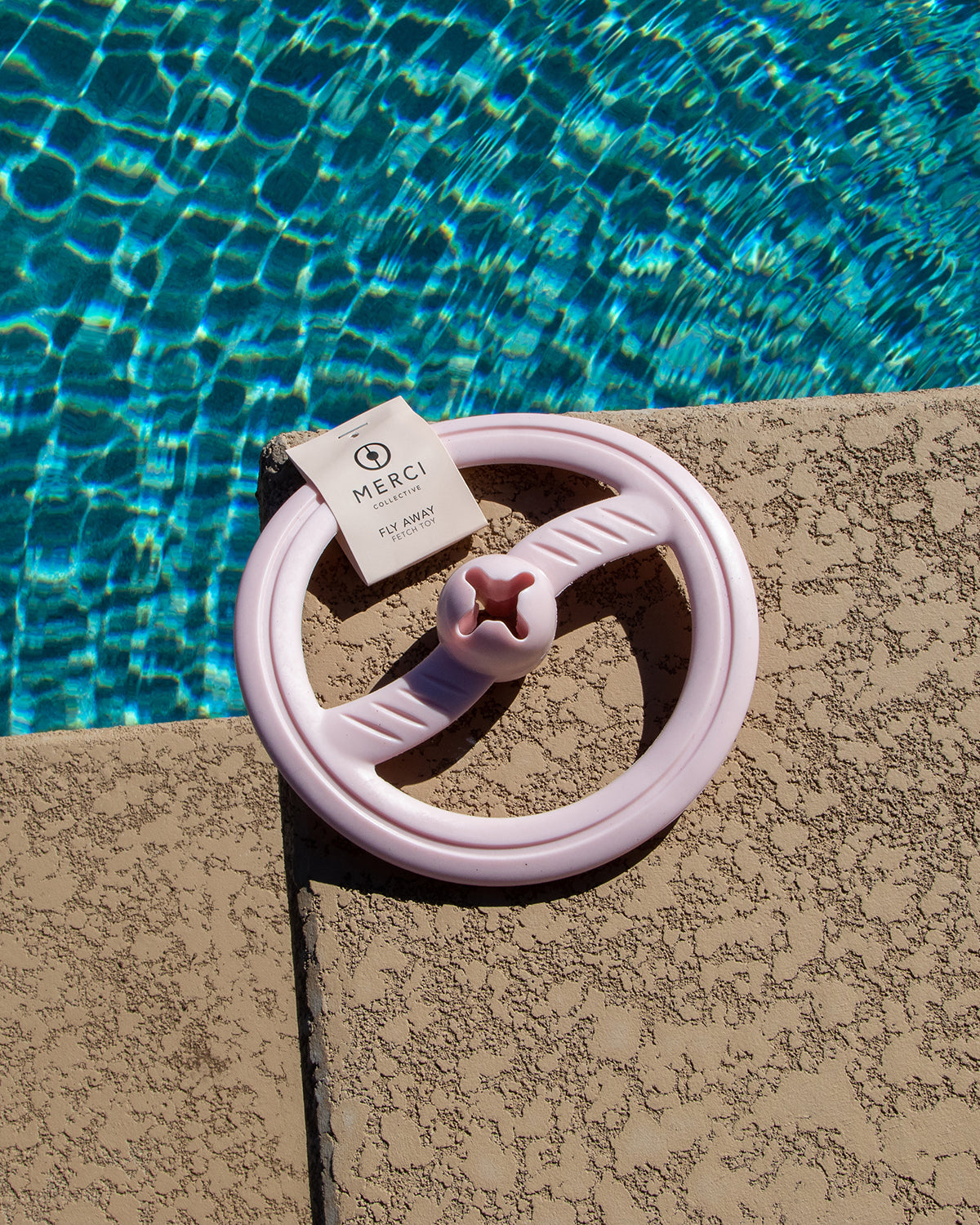 FRISBEE DOG TOY | משחק פריזבי לכלב