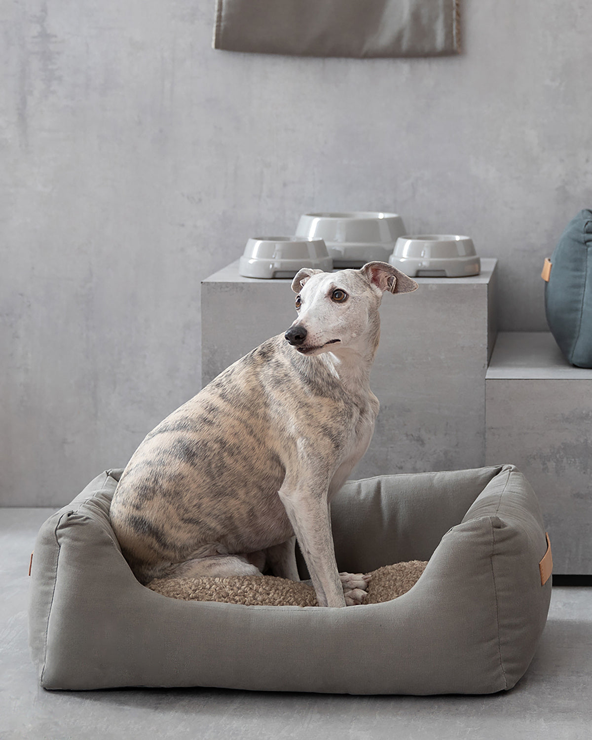 HENRI COTTON CANVAS BED | מיטה לכלב