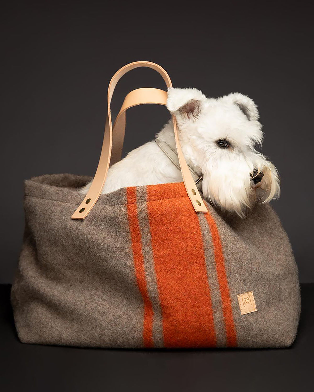 תיק נשיאה לכלב