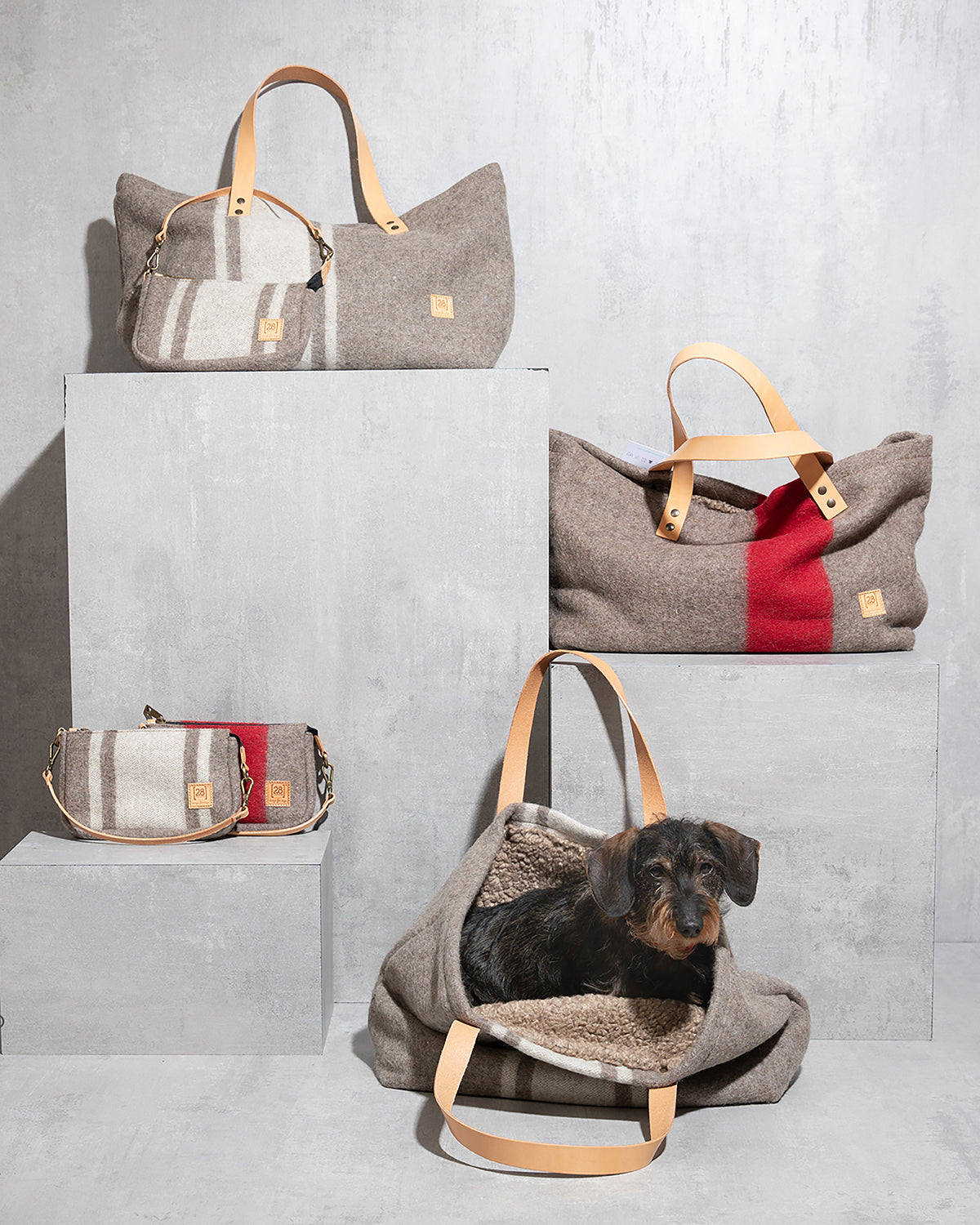 תיק נשיאה לכלב