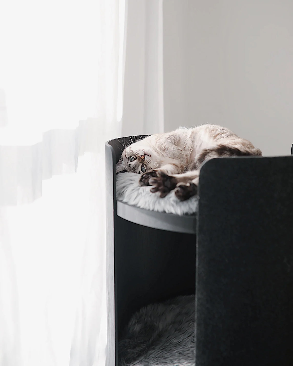 TORRE CLIMBING & SCRATCHING CAT POST | מגדל טיפוס וגירוד לחתולים