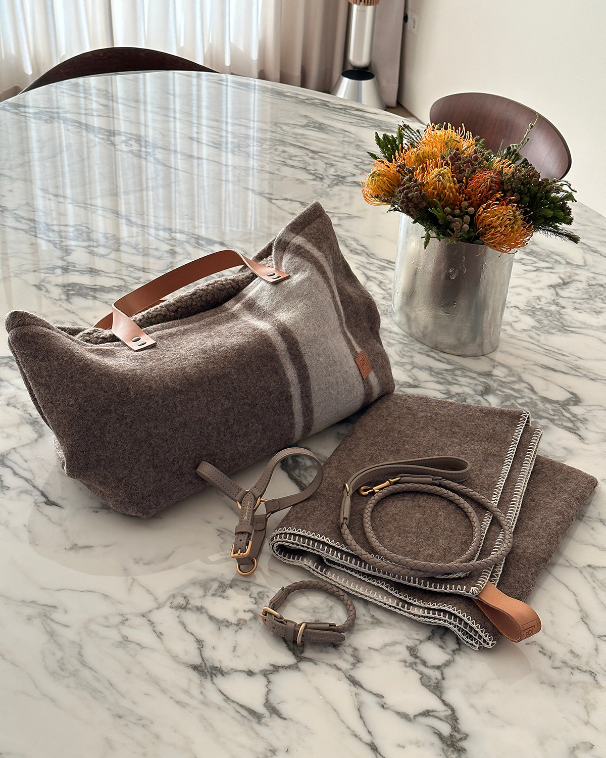 תיק נשיאה לכלב