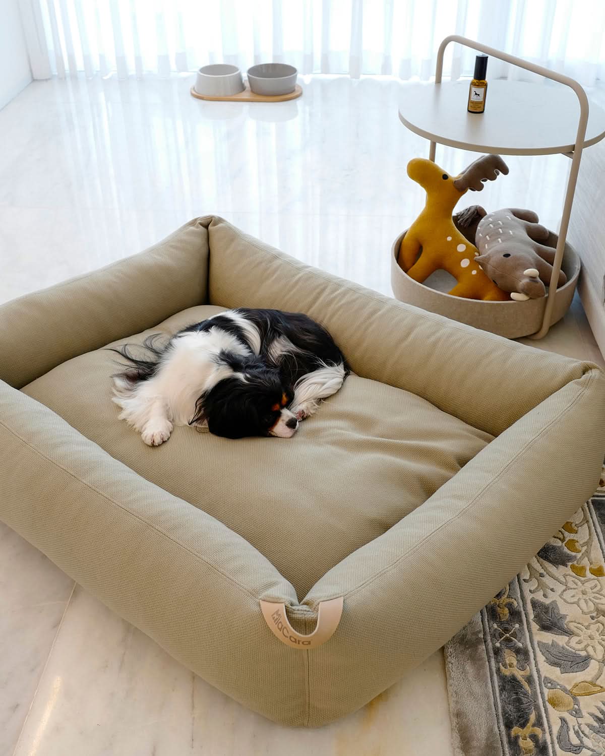SONNO DOG BOX BED | מיטה אורתופדית לכלב