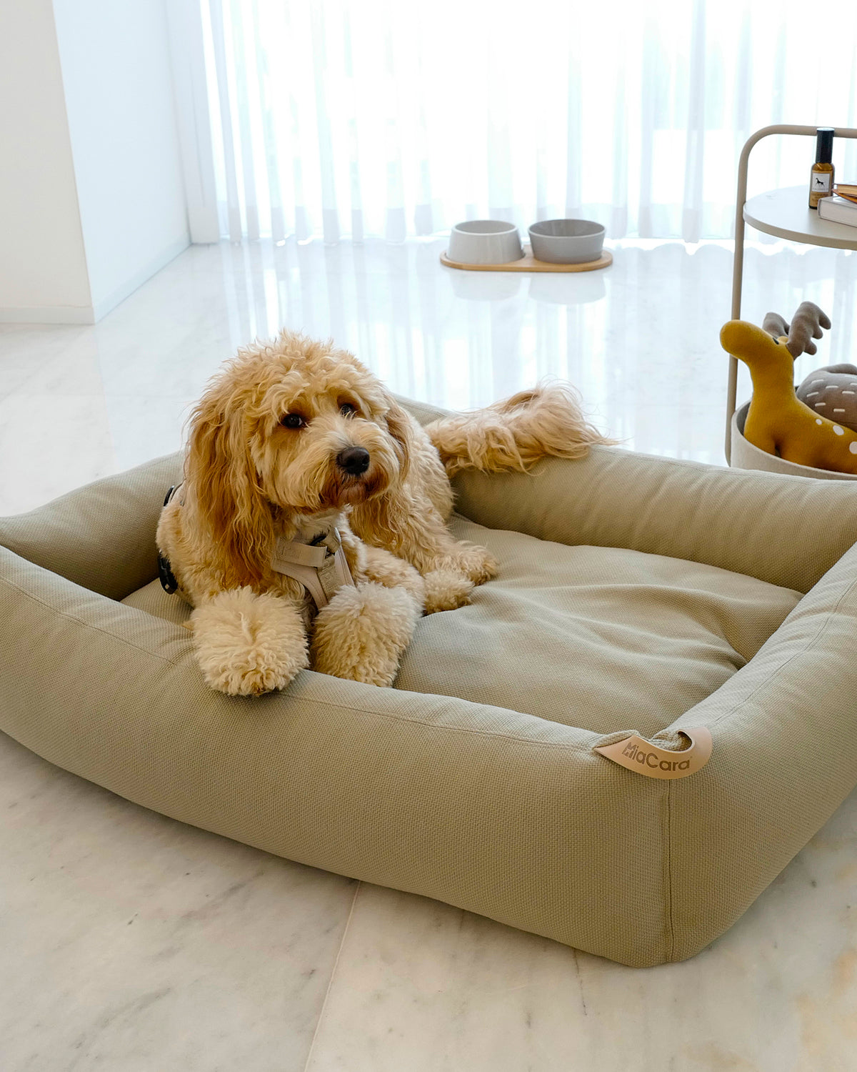 SONNO DOG BOX BED | מיטה אורתופדית לכלב
