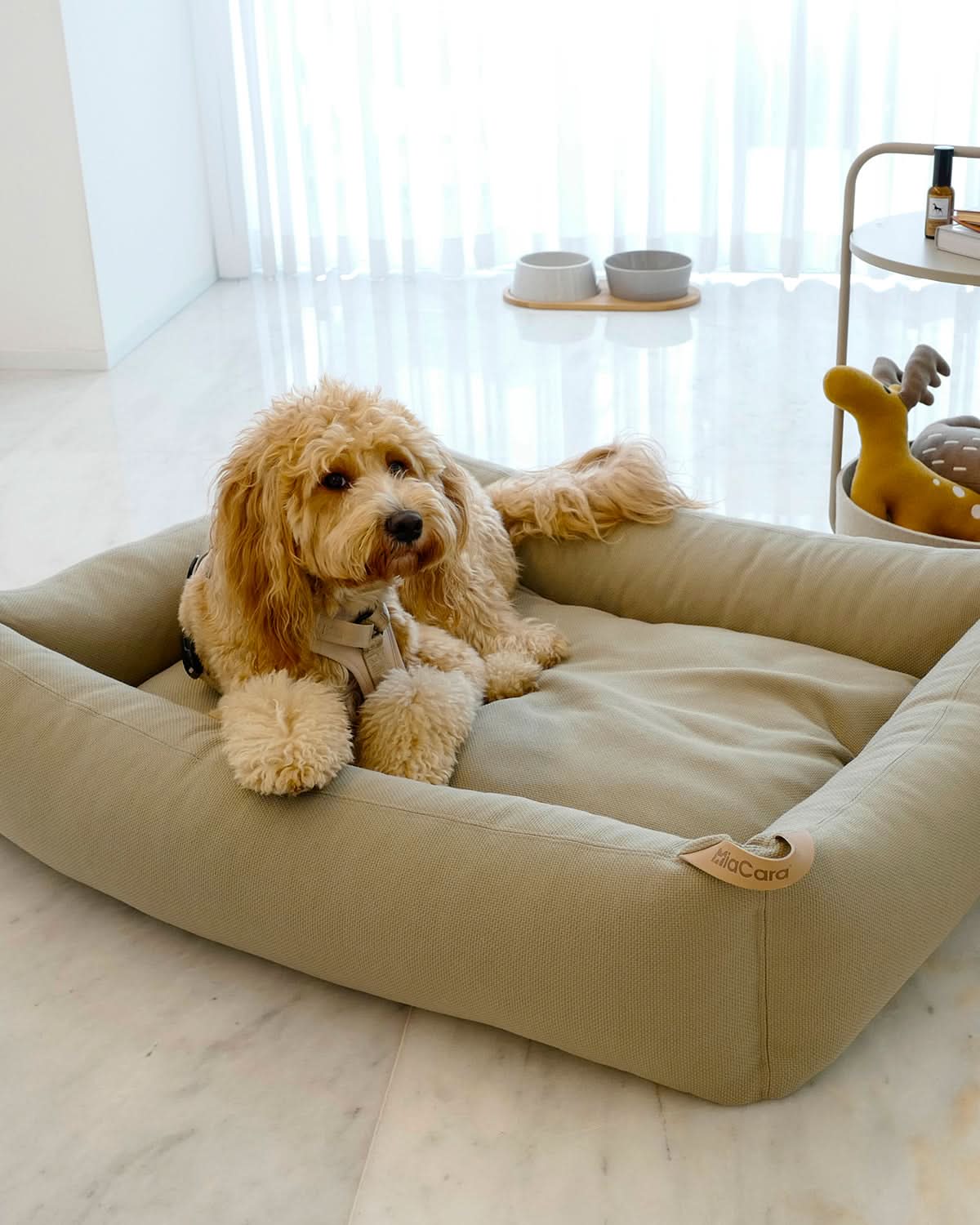 SONNO DOG BOX BED | מיטה אורתופדית לכלב