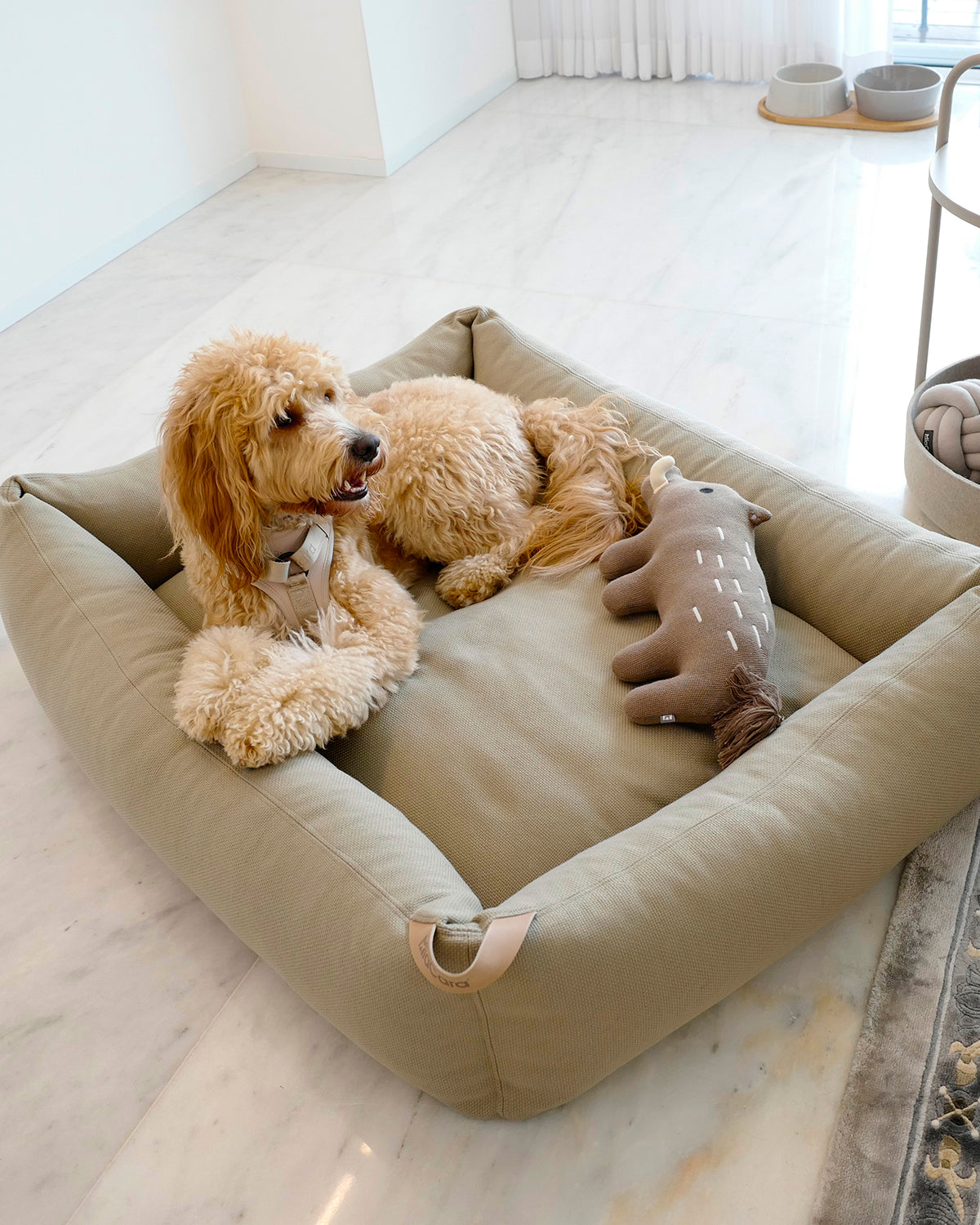 SONNO DOG BOX BED | מיטה אורתופדית לכלב