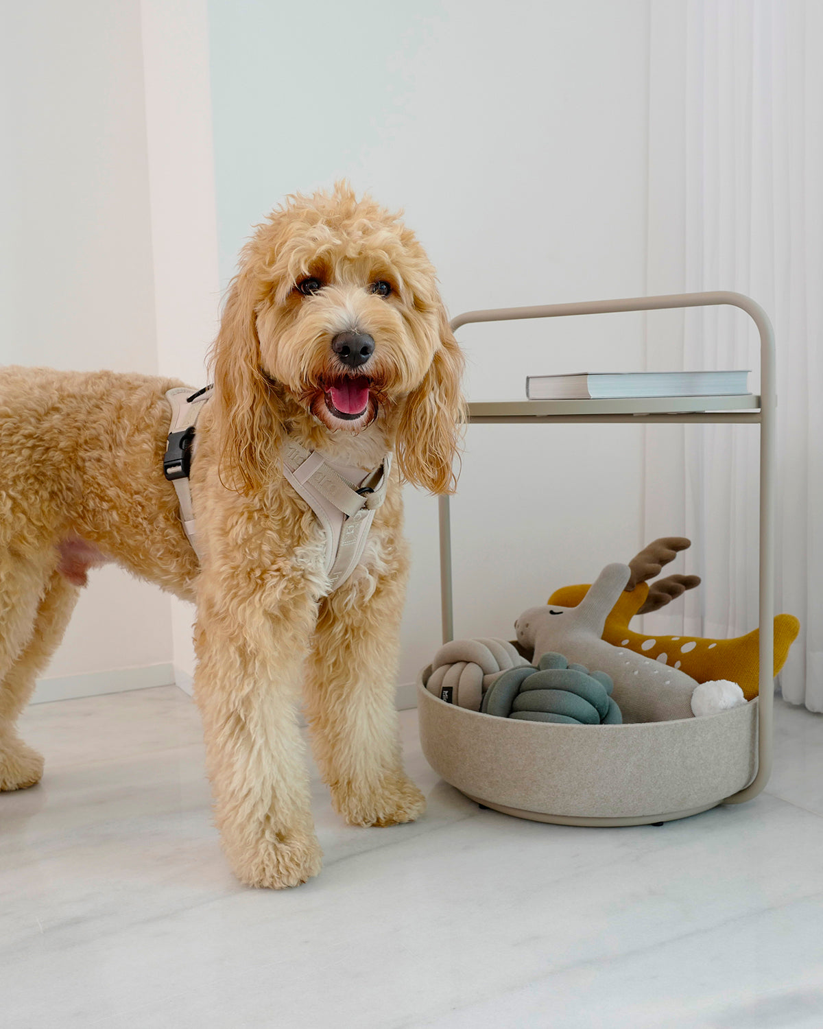 BOSCO TOYS | בובות חיות יער לכלב