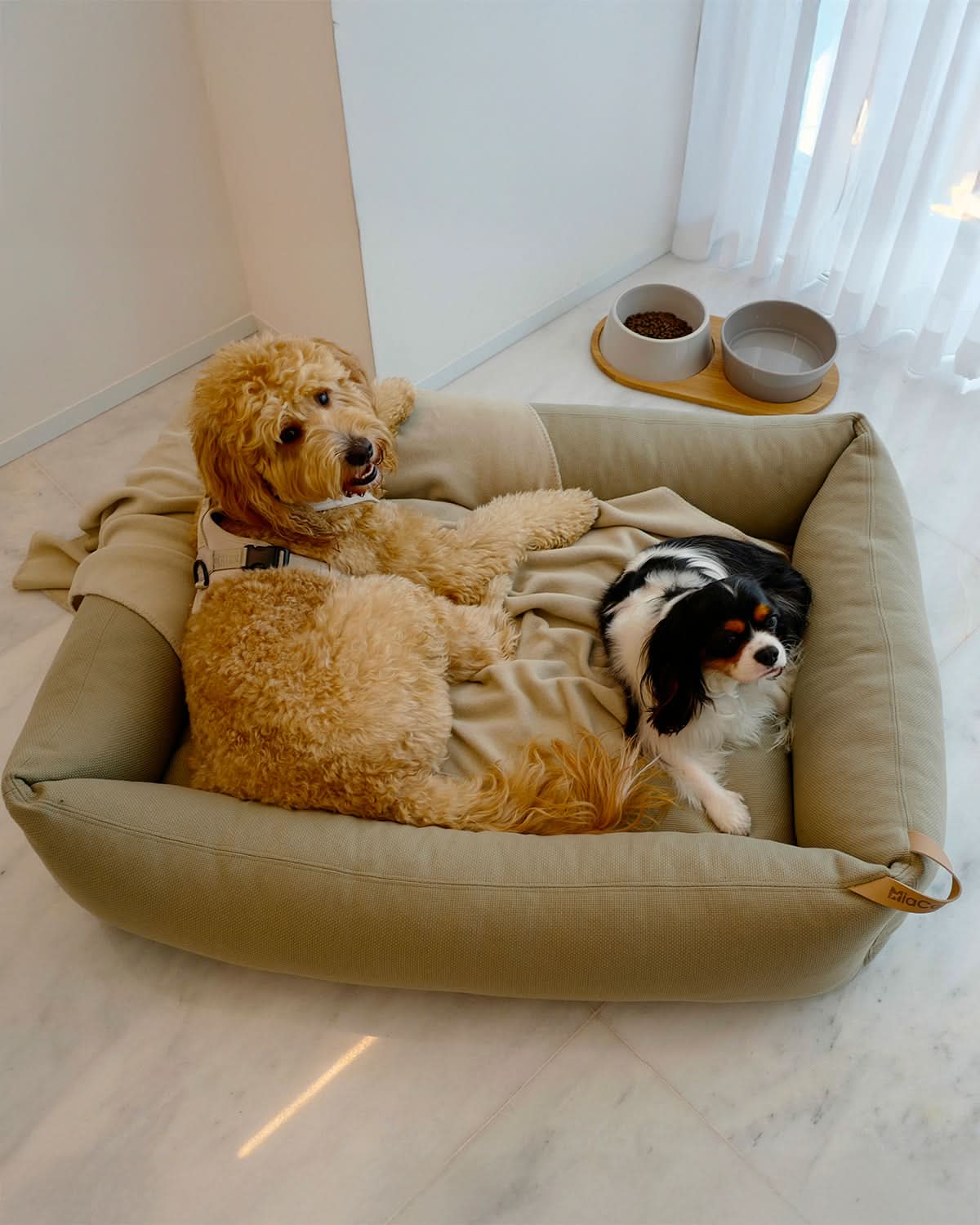 SONNO DOG BOX BED | מיטה אורתופדית לכלב