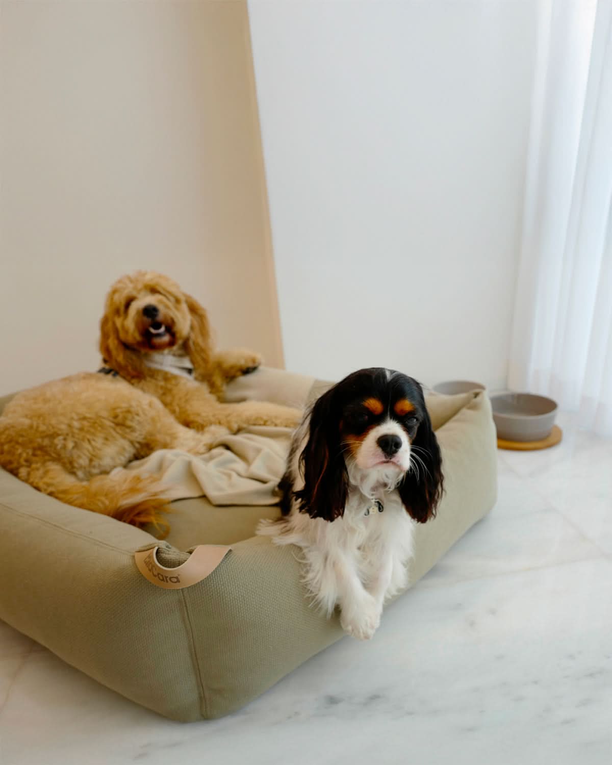 SONNO DOG BOX BED | מיטה אורתופדית לכלב