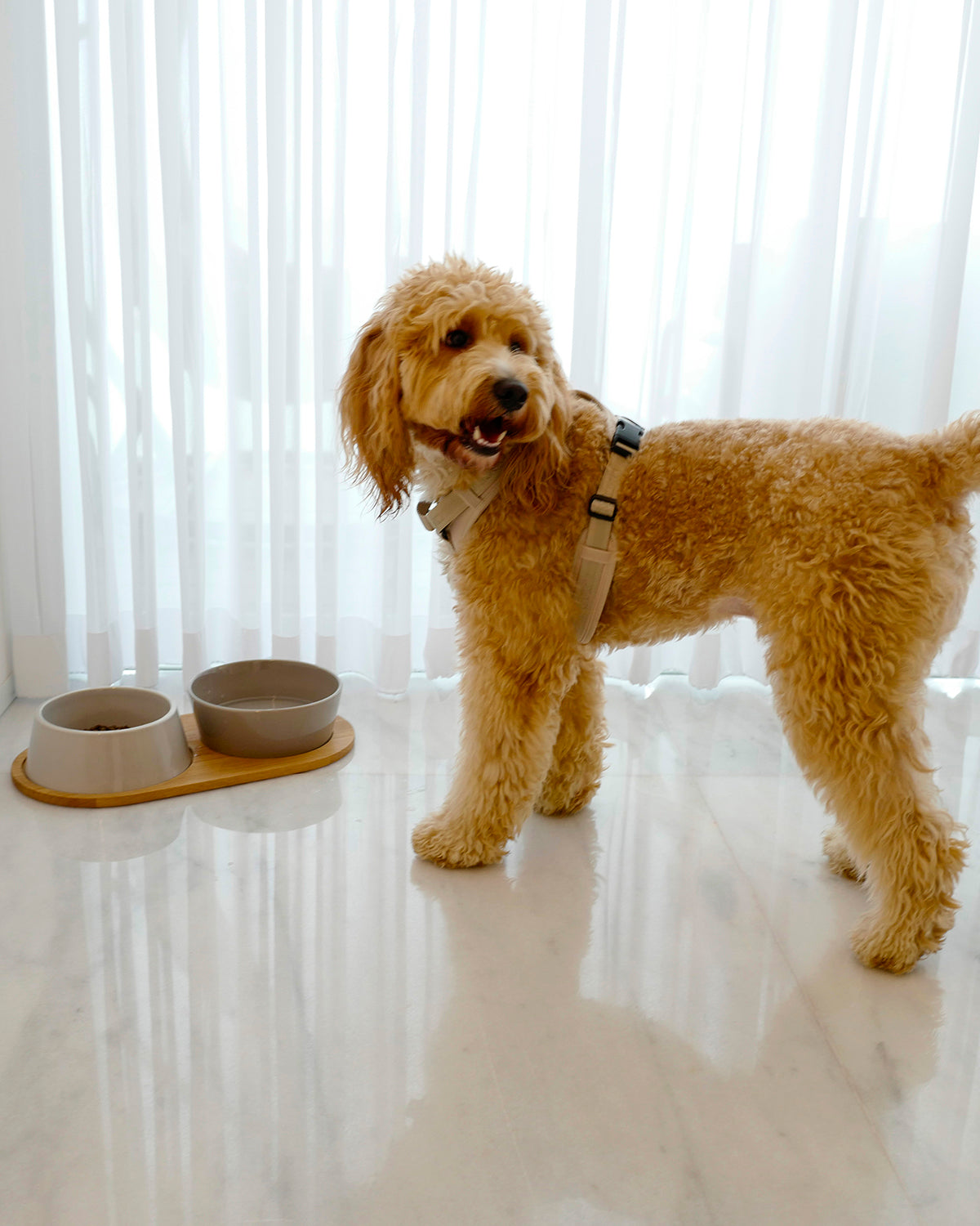 DOPPIO DOG BOWLS SET | סט קערות לכלב