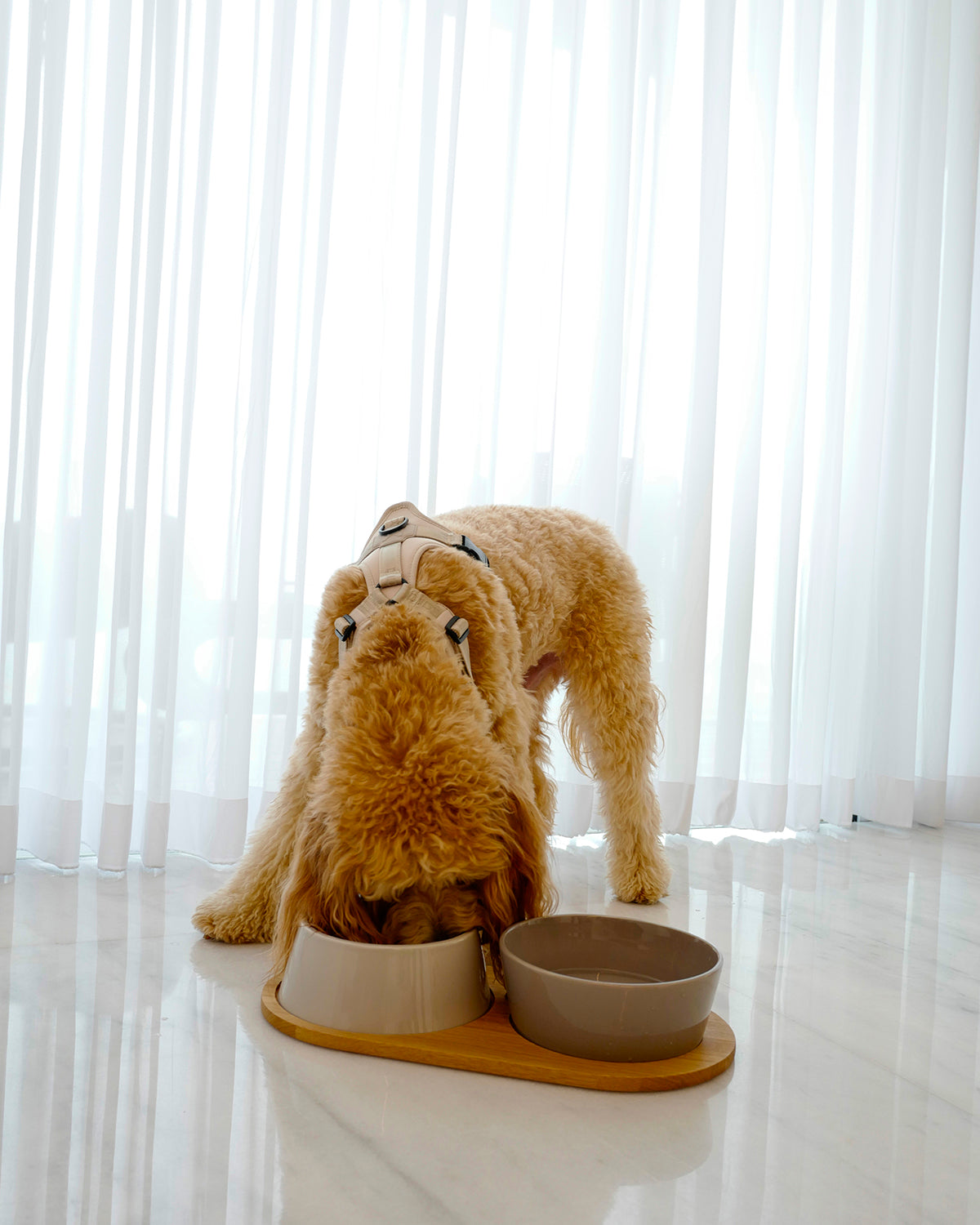DOPPIO DOG BOWLS SET | סט קערות לכלב