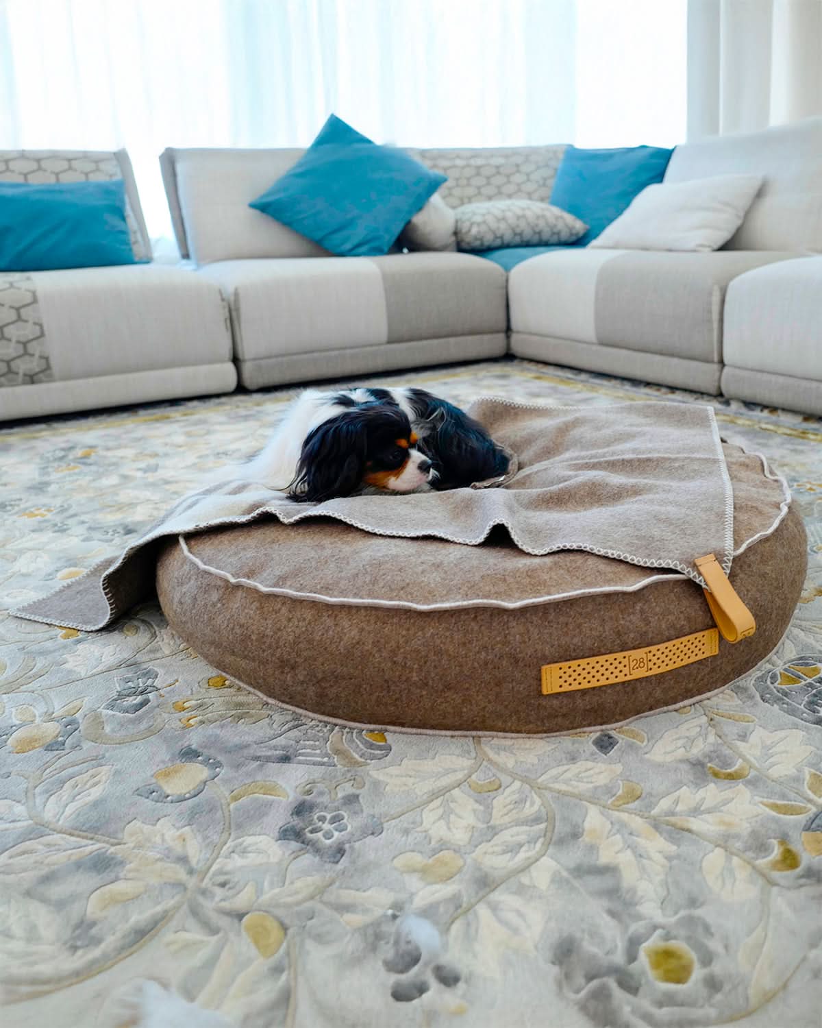 FULVIO RECYCLED WOOL | מיטת פוף לכלב