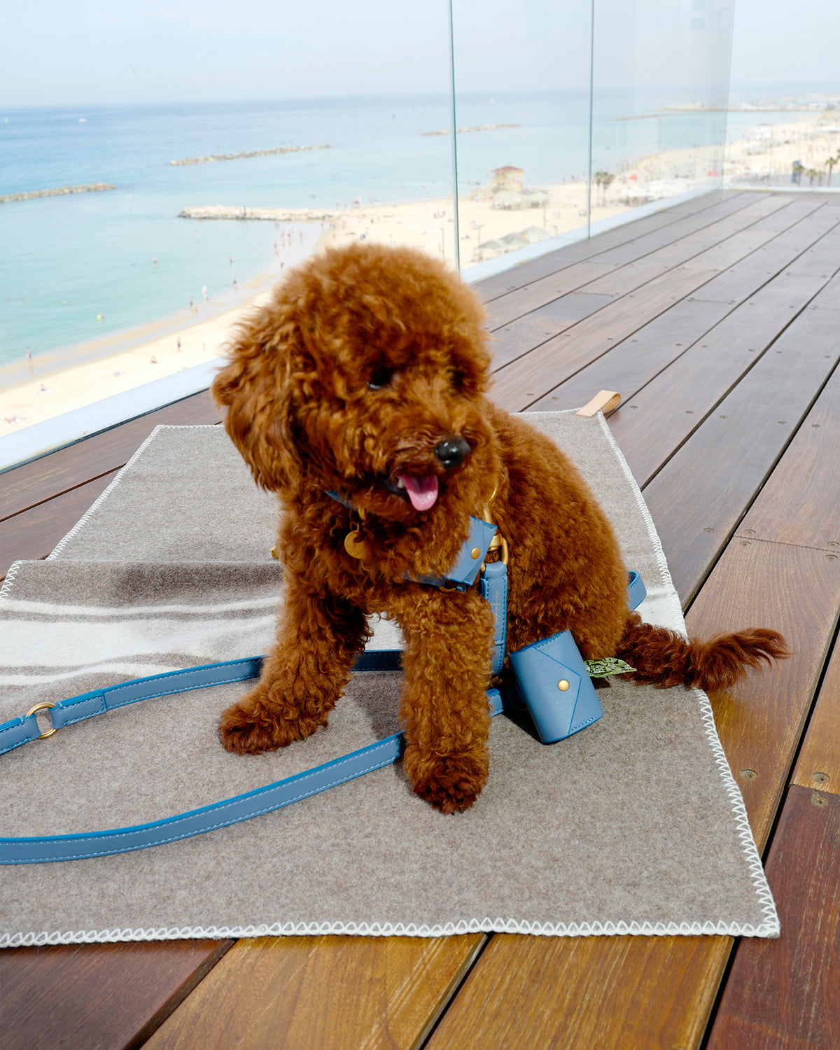 מרטין נאפה עור | נרתיק שקיות איסוף מעור
