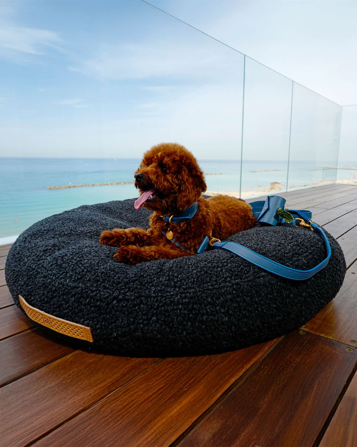 רצועת מתכווננת לכלב מעור נאפה איטלקי | MARIO ADJUSTABLE LEATHER LEASH