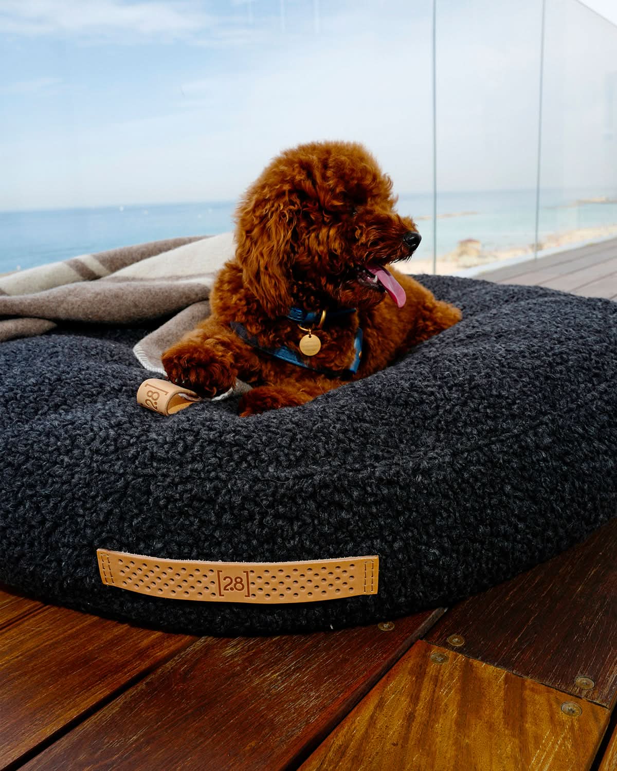 מיטת פוף לכלב