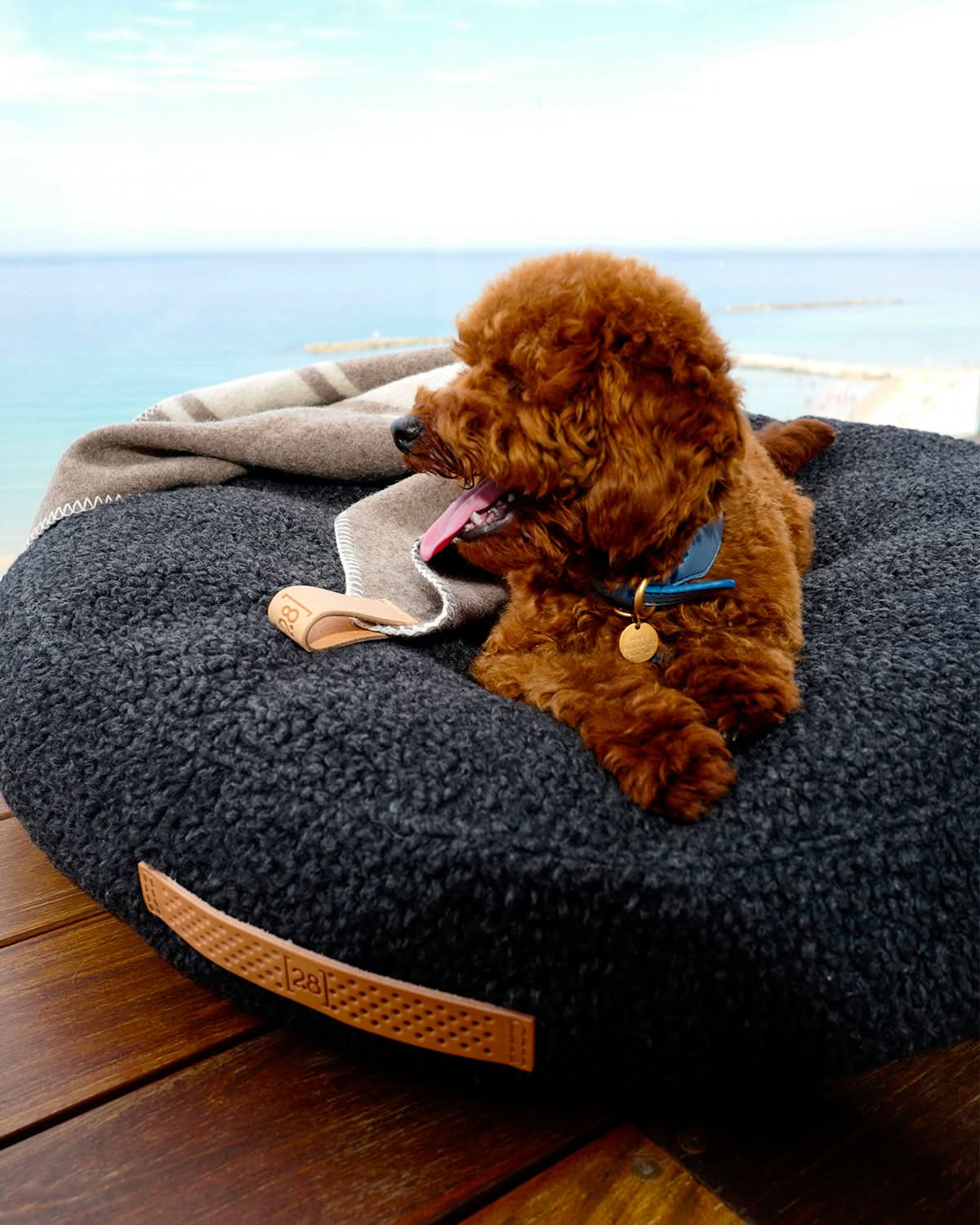 מיטת פוף לכלב