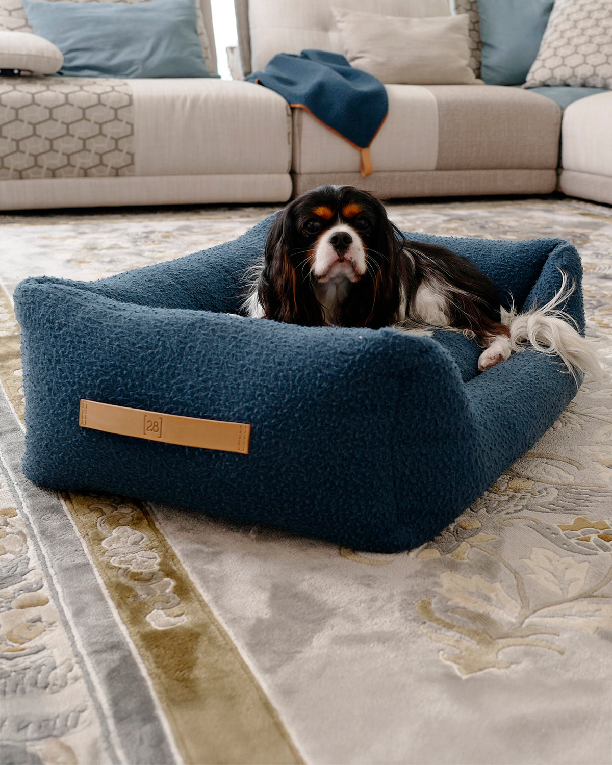 HENRI CASENTINO WOOL BED | מיטה לכלב