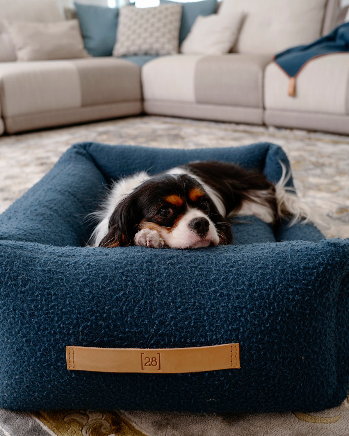 HENRI CASENTINO WOOL BED | מיטה לכלב