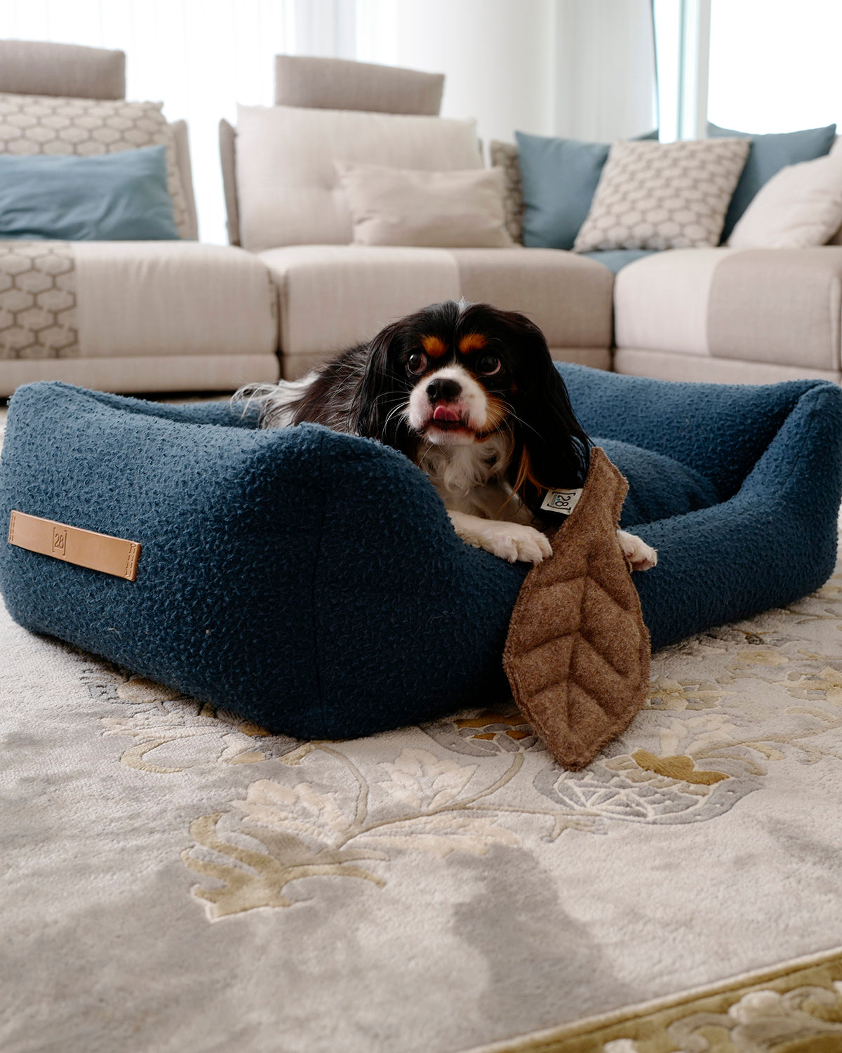 HENRI CASENTINO WOOL BED | מיטה לכלב