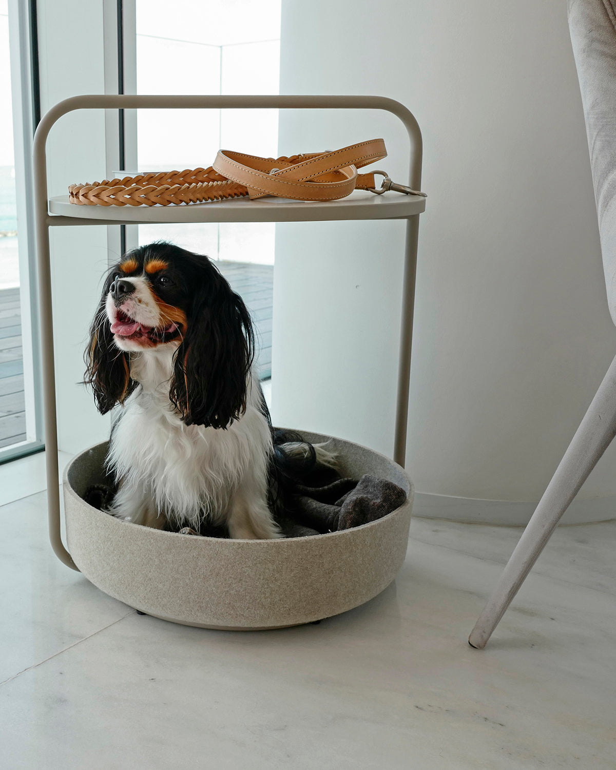 TAVOLINO SIDE TABLE | שולחן קפה / מיטה לכלב