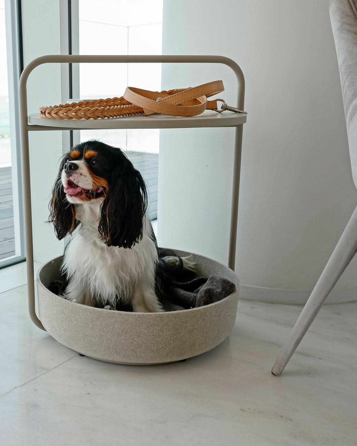 TAVOLINO SIDE TABLE | שולחן קפה / מיטה לכלב