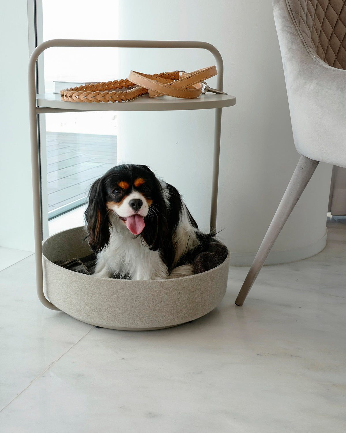 BERGAMO BRAIDED COWHIDE LEATHER LEAD | רצועה מתכווננת לכלב