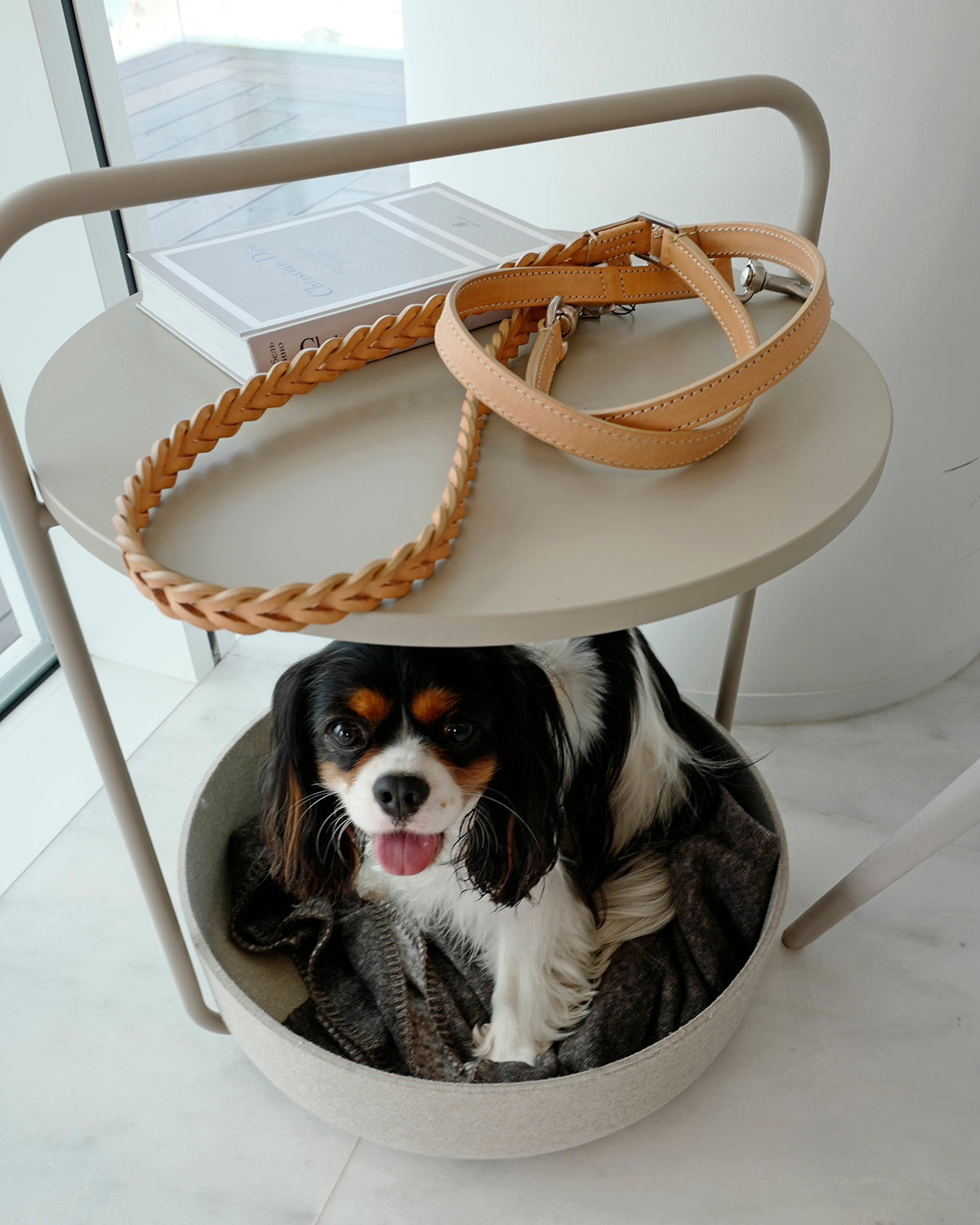 BERGAMO BRAIDED COWHIDE LEATHER LEAD | רצועה מתכווננת לכלב