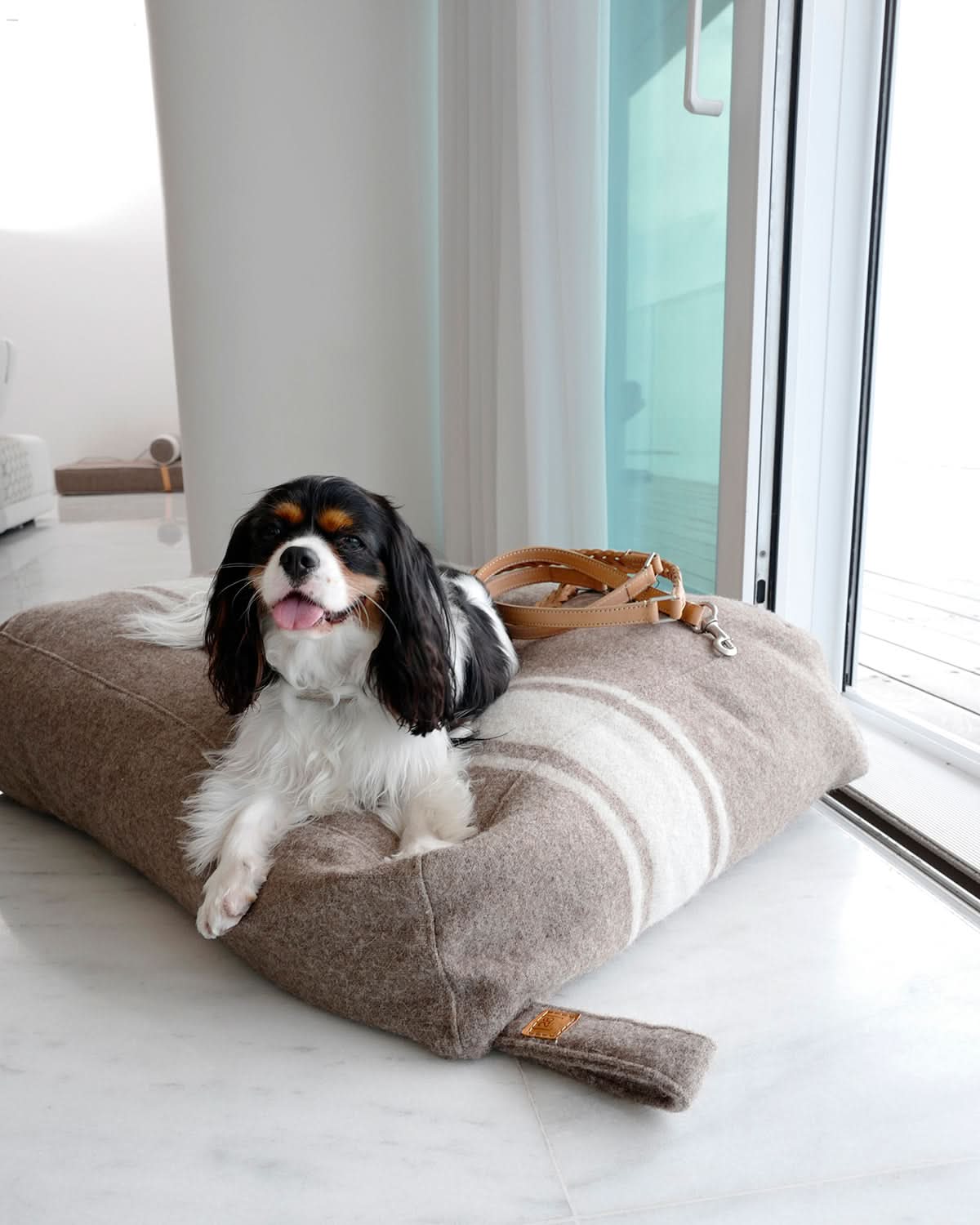 YOUSUF RECYCLED WOOL DOG BED | מיטה לכלב
