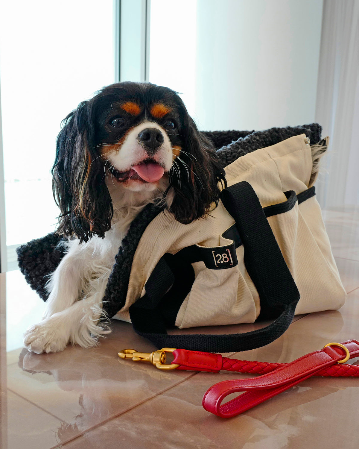 עופרת עור FERDINANDO | רצועת עור נאפה לכלב