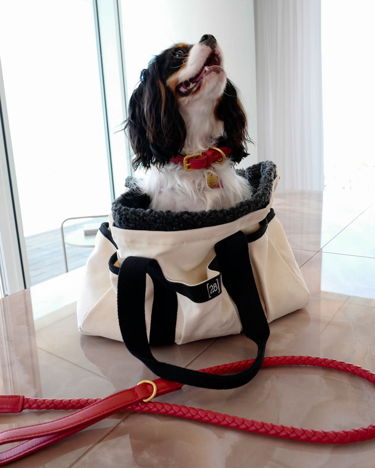 FERDINANDO NAPPA LEATHER LEASH | רצועת עור נאפה לכלב