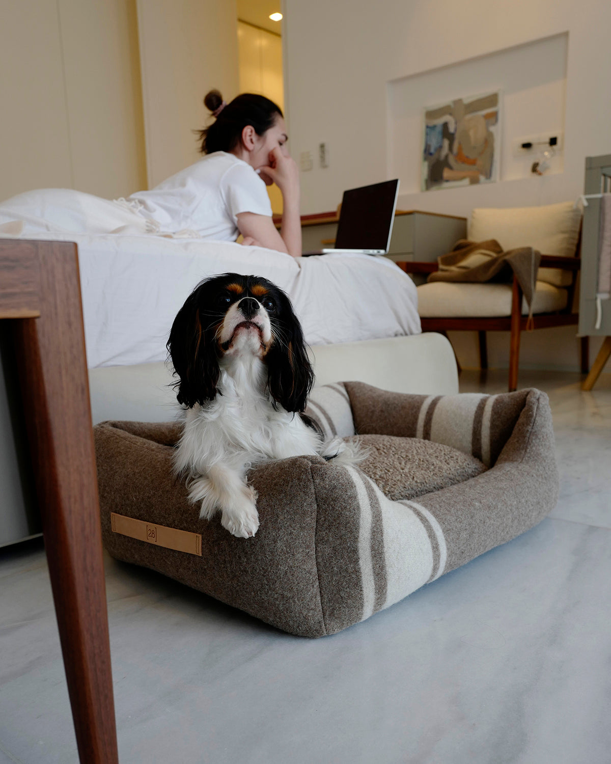 HENRI RECYCLED WOOL BED | מיטה לכלב