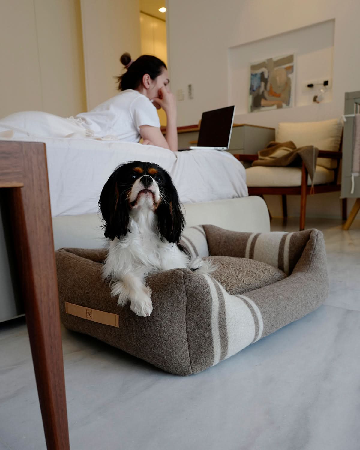 HENRI RECYCLED WOOL DOG BED | מיטה לכלב