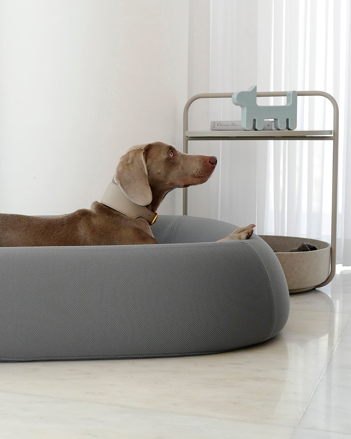 TAVOLINO SIDE TABLE | שולחן קפה / מיטה לכלב