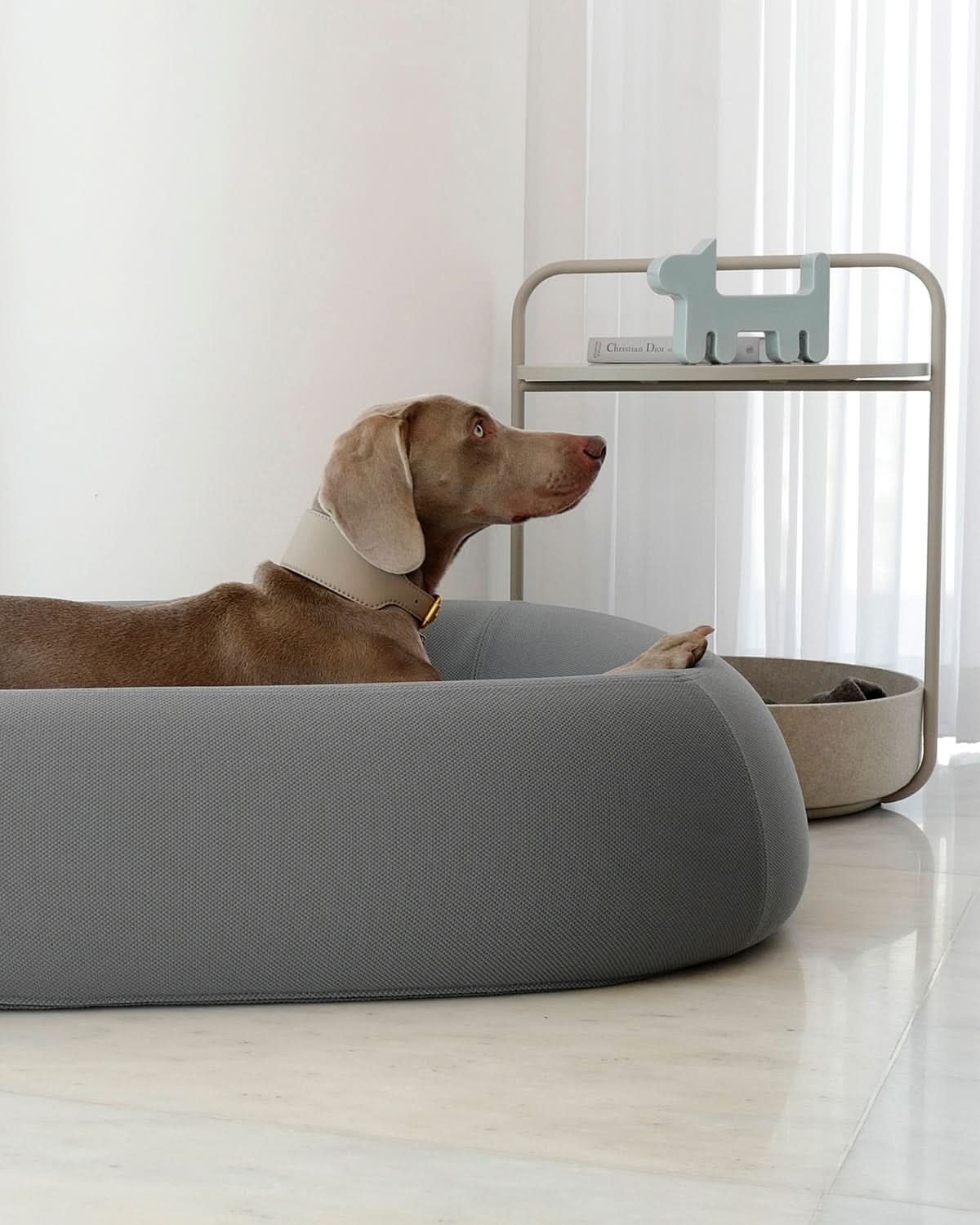 TAVOLINO SIDE TABLE | שולחן קפה / מיטה לכלב