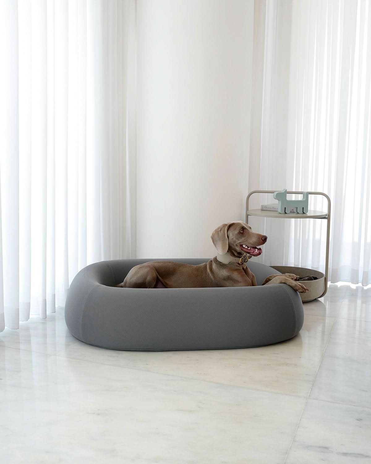מיטה אורתופדית לכלב | BARCA ORTHOPEDIC DOG BED