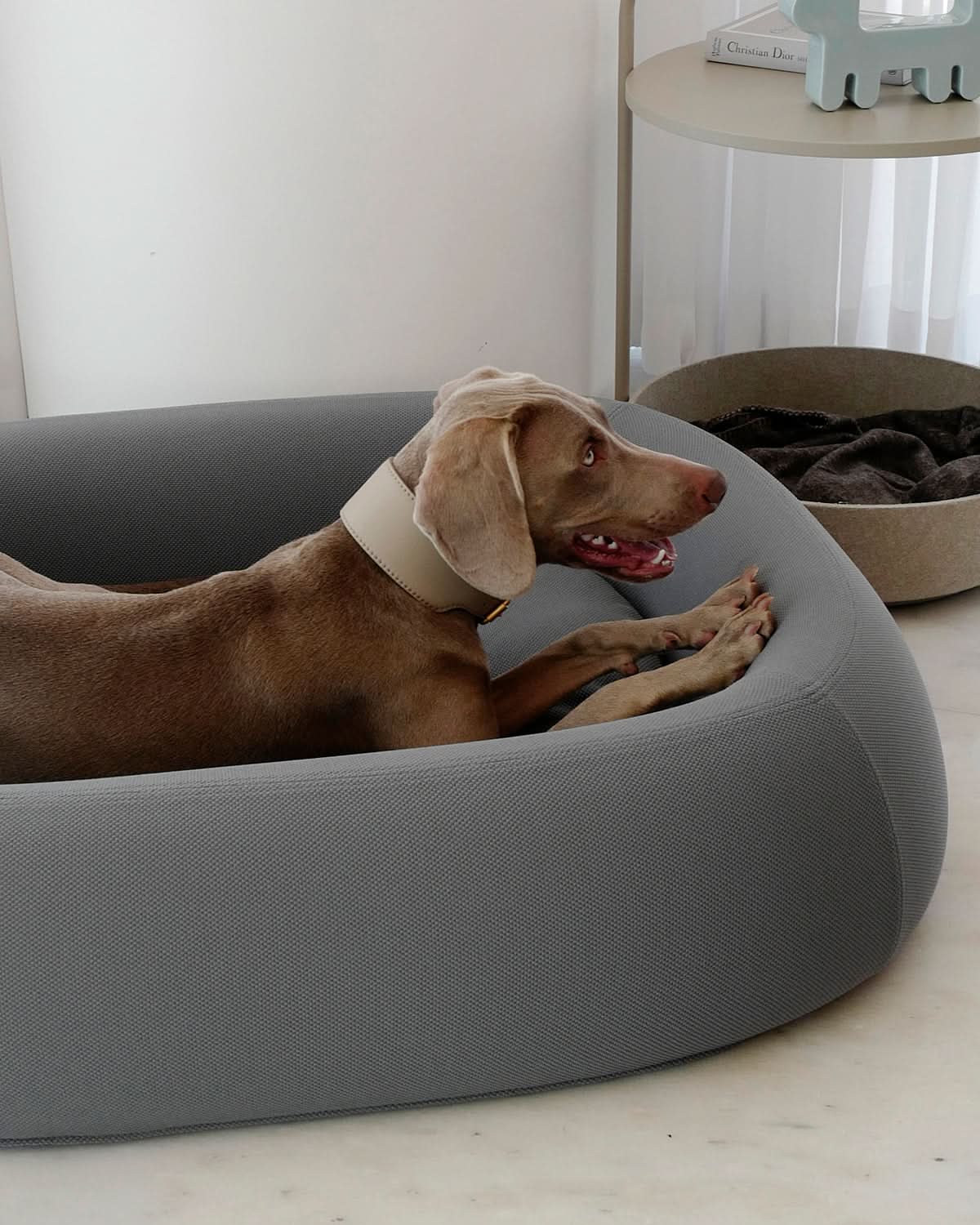 מיטה אורתופדית לכלב | BARCA ORTHOPEDIC DOG BED