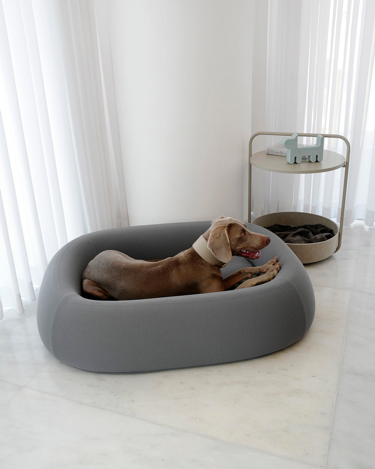 TAVOLINO SIDE TABLE | שולחן קפה / מיטה לכלב