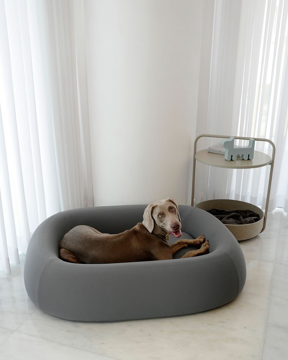 מיטה אורתופדית לכלב | BARCA ORTHOPEDIC DOG BED