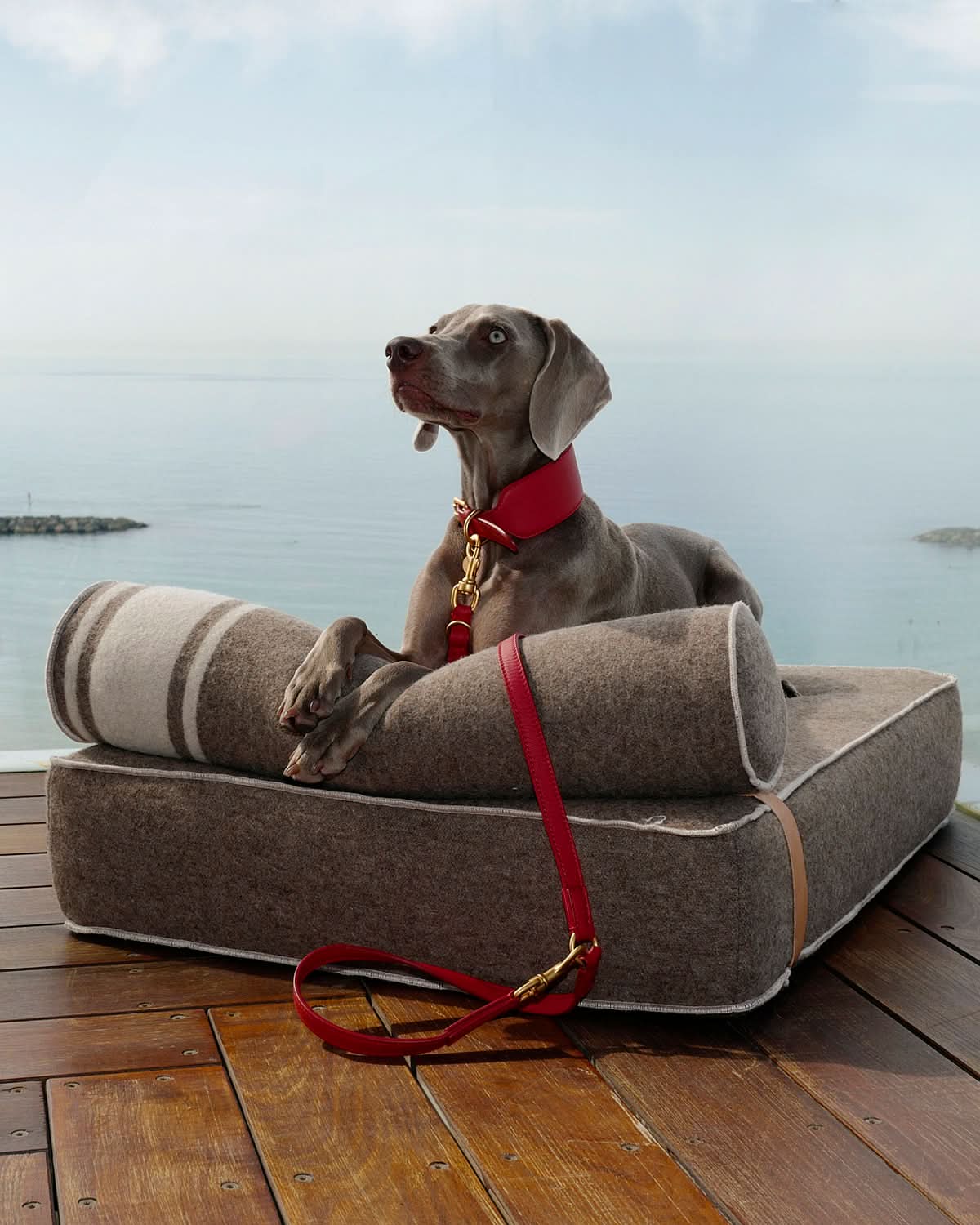 GIAMPAOLO RECYCLED WOOL DOG LOUNGE BED | מיטת לאונג׳ לכלב