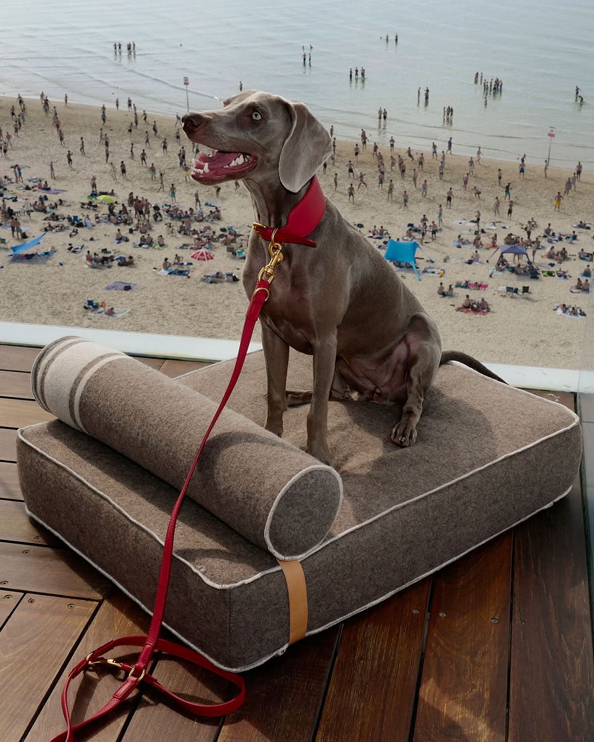 GIAMPAOLO RECYCLED WOOL DOG LOUNGE BED | מיטת לאונג׳ לכלב