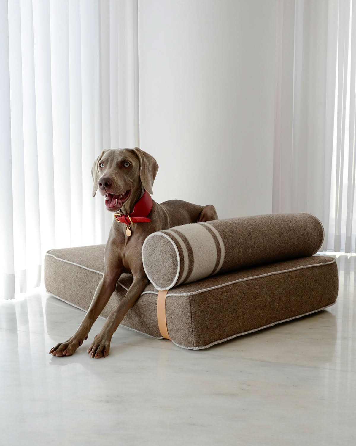 GIAMPAOLO RECYCLED WOOL DOG LOUNGE BED | מיטת לאונג׳ לכלב